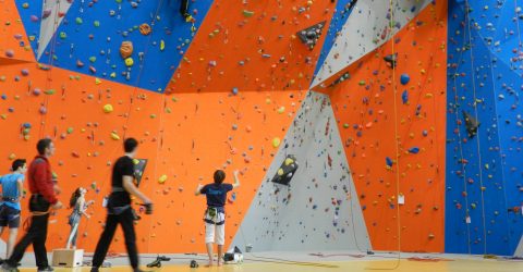 Image - escalade - pôle sportif Léonard de Vinci