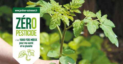 Campagne zéro pesticide