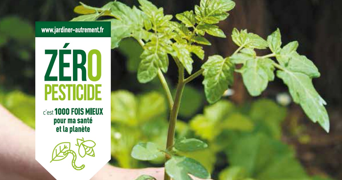 Campagne zéro pesticide